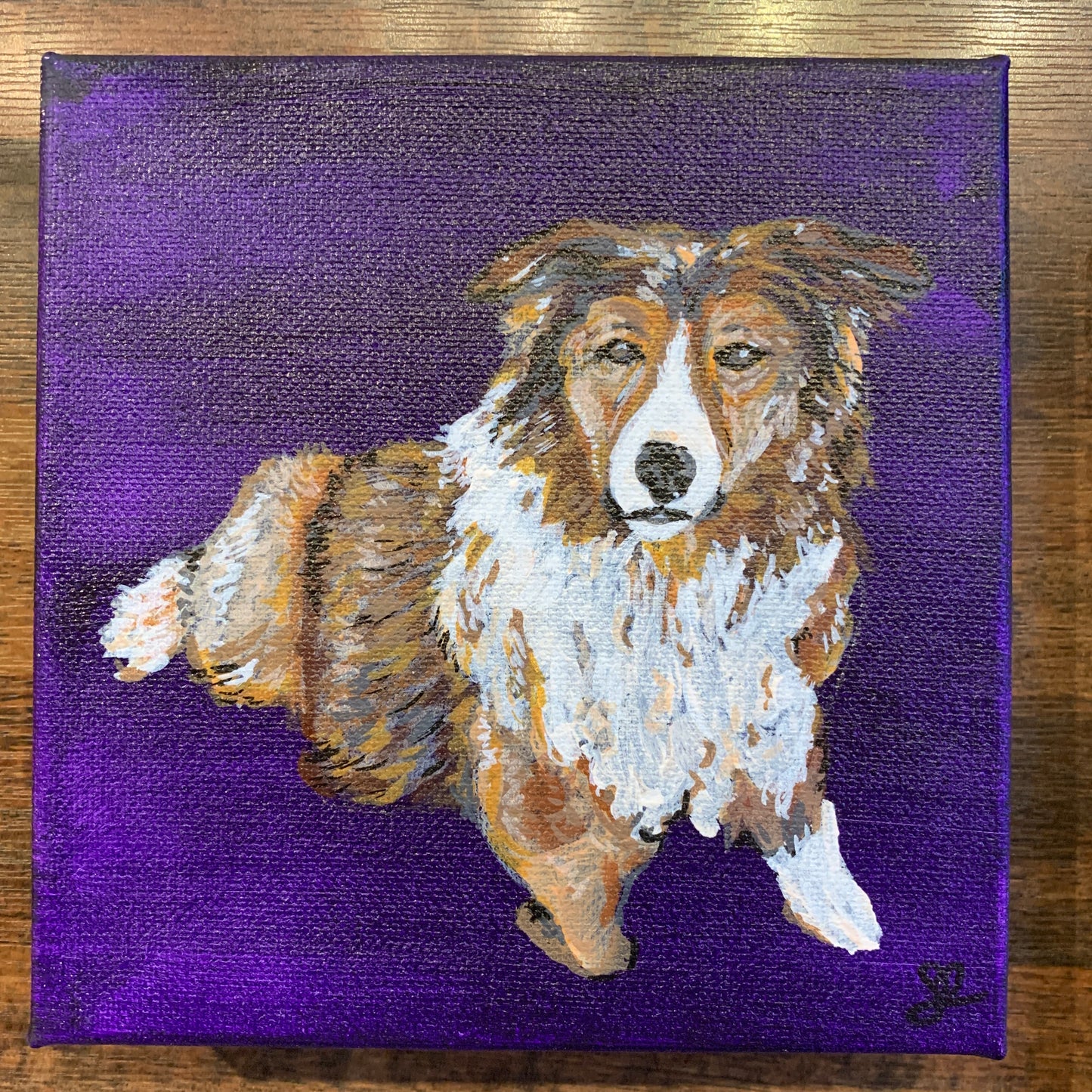 Jordan Bruce "Collie On Purple" Acrylic Painting