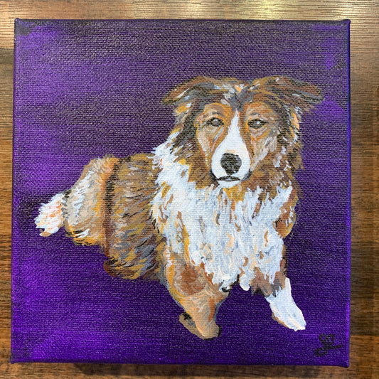 Jordan Bruce "Collie On Purple" Acrylic Painting