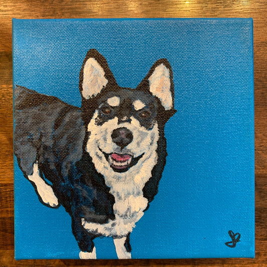 Jordan Bruce "Huskey On Blue" Acrylic Painting