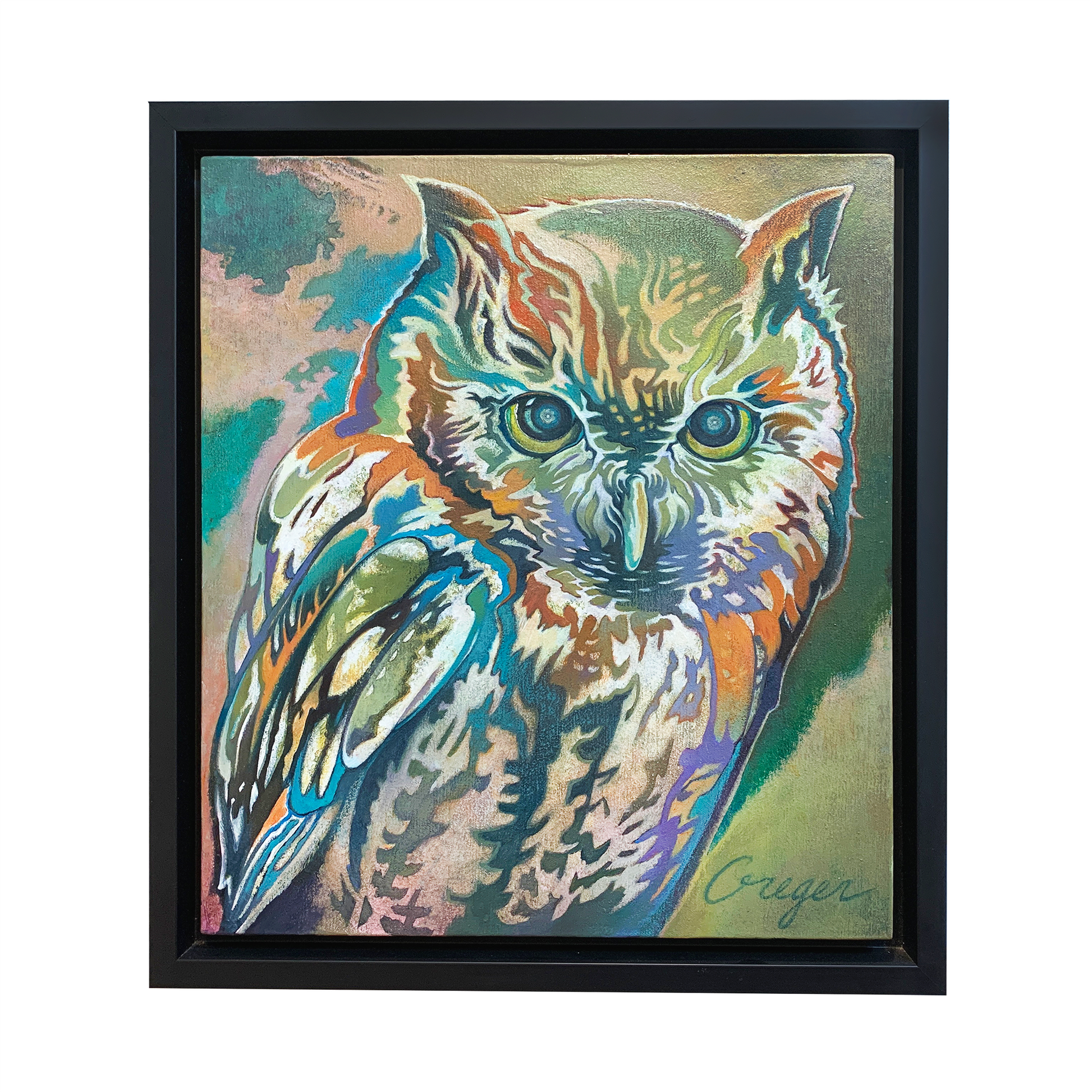 C. Shana Greger "Small Owl #5" Framed Painting