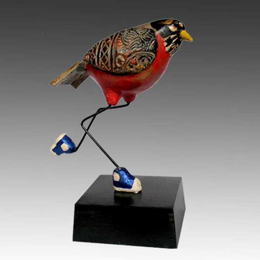 Steve McGovney Robin